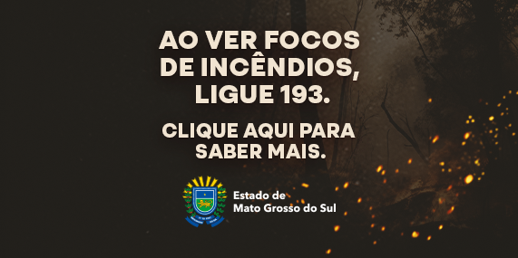 Banner combate aos incêndios no Pantanal e demais biomas